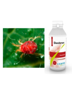 DANITRON LT.1 Miglior Prezzo