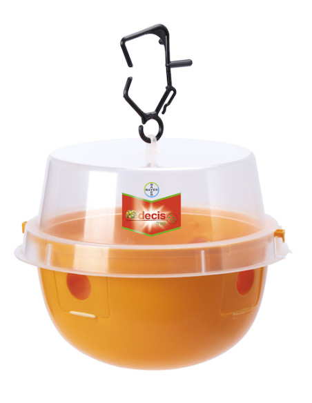 DECIS TRAP ( Ceratitis capitata ) Miglior Prezzo