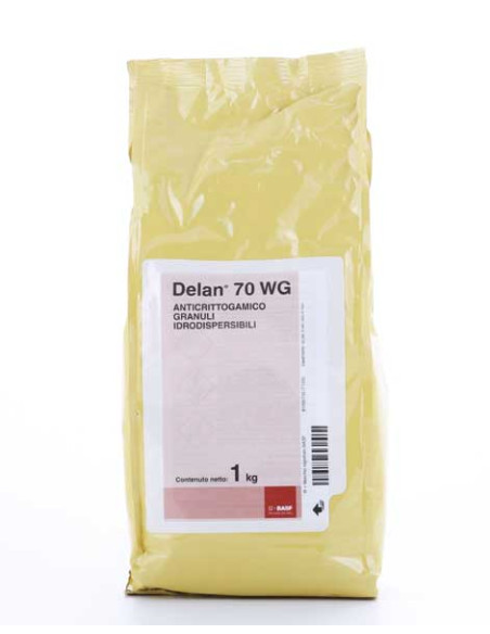 DELAN 70 WG KG.1 Miglior Prezzo