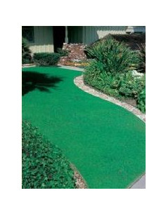 DICONDRA REPENS GR.100 Miglior Prezzo