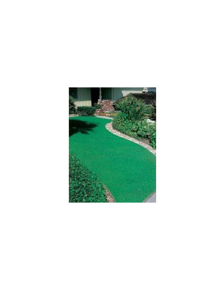 DICONDRA REPENS GR.100 Miglior Prezzo