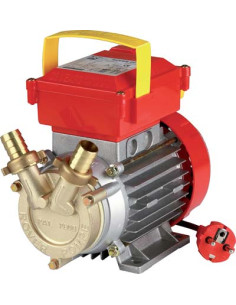 ELETTROPOMPA TRAVASO OTTONE CE ROVER MM.20 Miglior Prezzo
