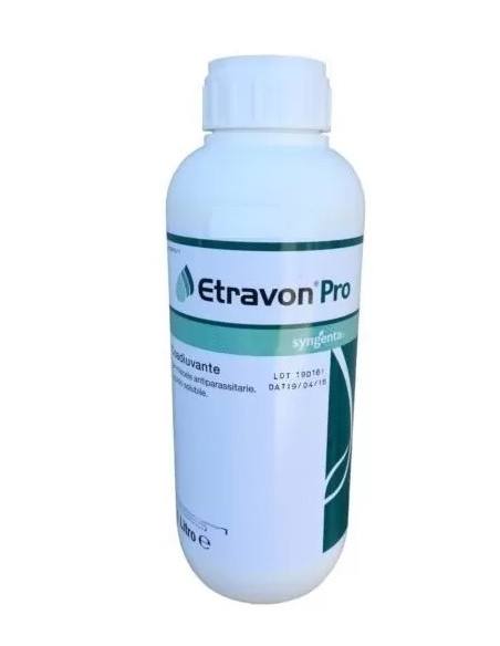 ETRAVON PRO LT.1 Miglior Prezzo