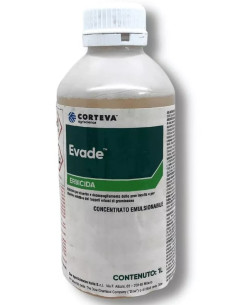 EVADE LT.1 Miglior Prezzo