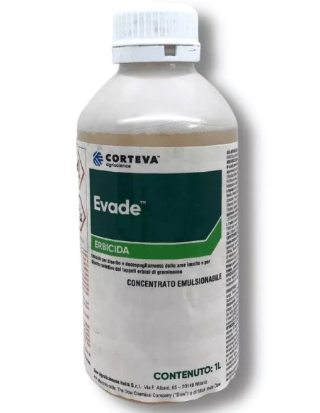 EVADE LT.1 Miglior Prezzo