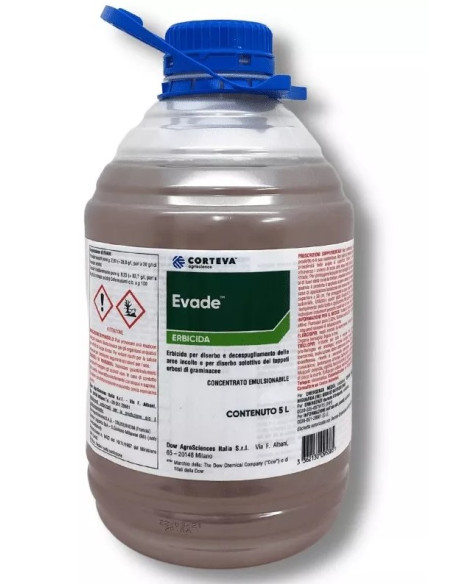 EVADE LT.5 Miglior Prezzo