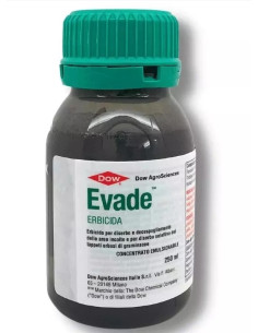 EVADE ML.250 Miglior Prezzo