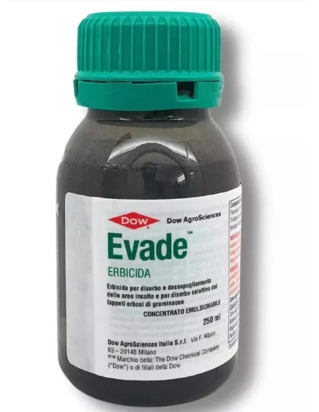 EVADE ML.250 Miglior Prezzo