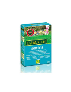 Evergreen Semina kg.2 Miglior Prezzo