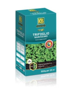 Evergreen Trifoglio Nanissimo Gr.100 Miglior Prezzo