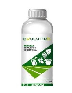 EVOLUTION LT.1 Miglior Prezzo