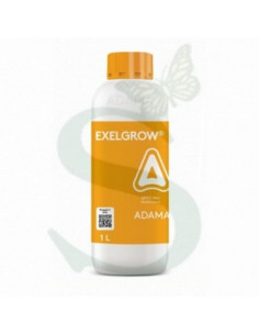 EXELGROW LT.1 Miglior Prezzo