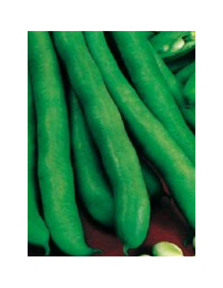 FAVE AGUAD. SUPERSIMONIA GR.500 Miglior Prezzo