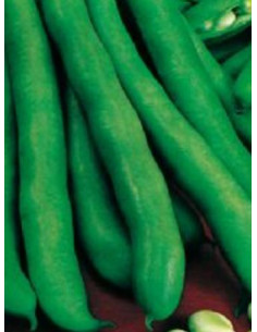 FAVE PRIMERENCA KG.1 Miglior Prezzo