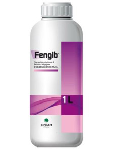 FENGIB LT.1 Miglior Prezzo