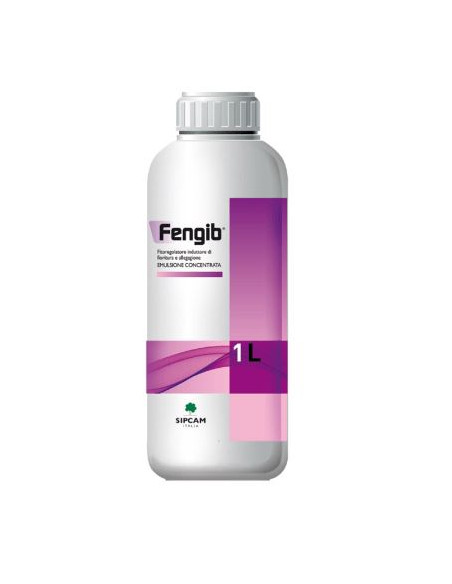 FENGIB LT.1 Miglior Prezzo
