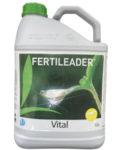SEACTIV VITAL 9-5-4 LT.10 Miglior Prezzo