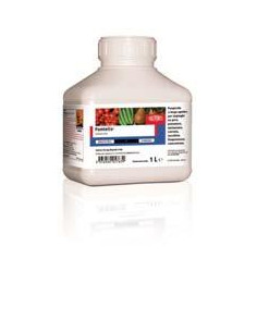 FONTELIS LT.1 Miglior Prezzo