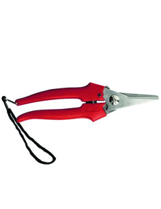 FORBICE RACCOLTA LAMA LUNGA Miglior Prezzo