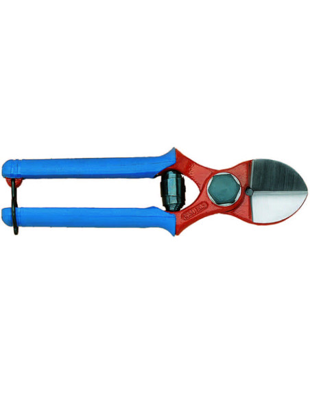 FORBICI FRUTTETO DUE BUOI CM.20 Miglior Prezzo