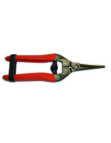 FORBICI PER RACCOLTA LAME AL TEFLON cm.19 Miglior Prezzo