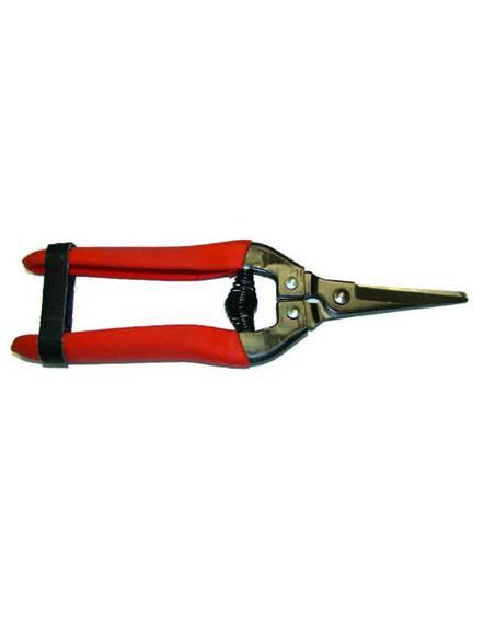 FORBICI PER RACCOLTA LAME AL TEFLON cm.19 Miglior Prezzo