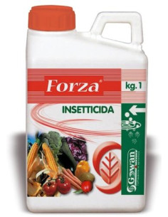 FORZA WG KG.1 Miglior Prezzo