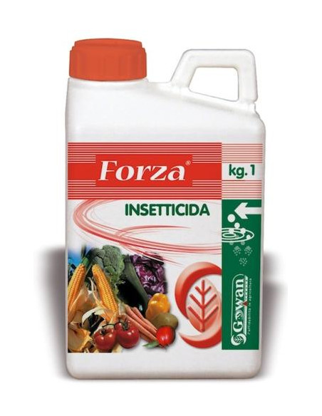 FORZA WG KG.1 Miglior Prezzo