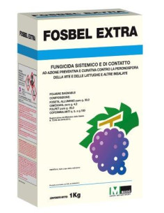 FOSBEL EXTRA KG.1 Miglior Prezzo