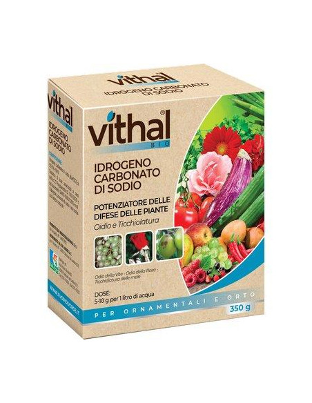 FUNGICIDA IDROGENO CARBONATO SODIO VITHAL BIO KB GR.350 Miglior