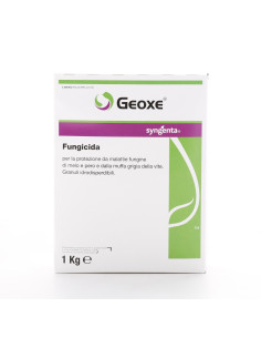 GEOXE KG.1 Miglior Prezzo