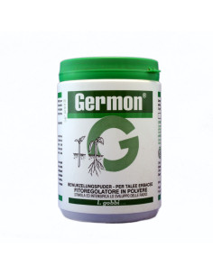 GERMON H PER TALEE ERBACEE GR.100 Miglior Prezzo