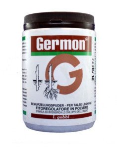 GERMON H PER TALEE LEGNOSE GR.100 Miglior Prezzo