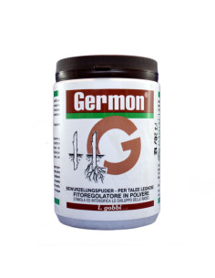 GERMON H PER TALEE LEGNOSE GR.500 Miglior Prezzo