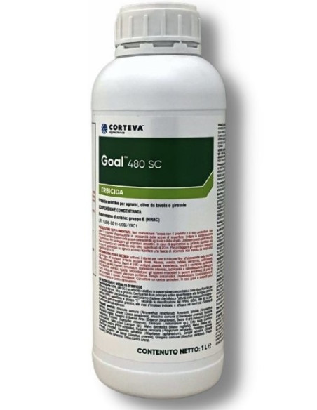 GOAL 480 SC LT.1 Miglior Prezzo