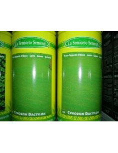 GRAMIGNA CYNODON DACTYLON GR.500 Miglior Prezzo