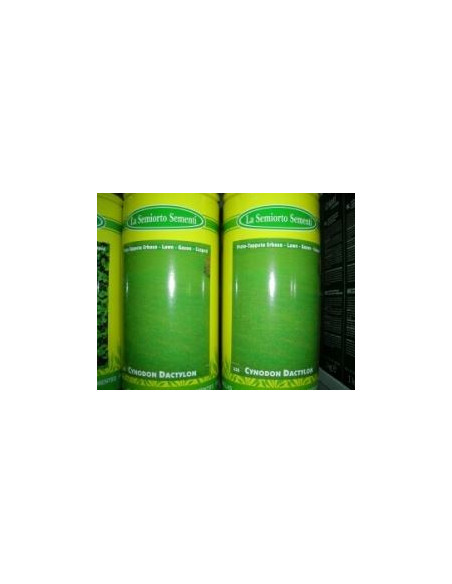 GRAMIGNA CYNODON DACTYLON GR.500 Miglior Prezzo