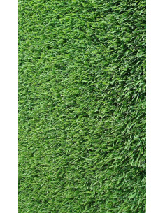 GRAMIGNA CYNODON DACTYLON KG.1 Miglior Prezzo