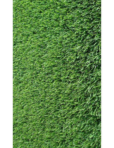 GRAMIGNA CYNODON DACTYLON KG.1 Miglior Prezzo