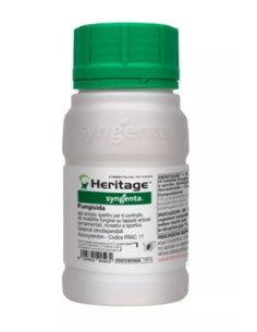 HERITAGE GR.100 Miglior Prezzo