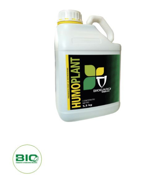 HUMO PLANT KG.1,1 Miglior Prezzo