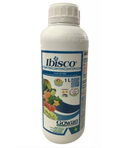 IBISCO LT.5 Miglior Prezzo