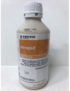 INTREPID SC LT.1 Miglior Prezzo