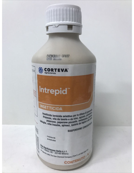 INTREPID SC LT.1 Miglior Prezzo