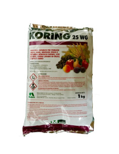 KORING 25 WG KG.1 Miglior Prezzo