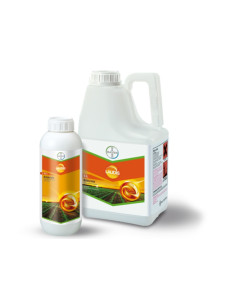 LAUDIS OD 66 LT.5 Miglior Prezzo