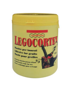 LEGOCORTEX MASTICE PER INNESTI COPYR KG.1 Miglior Prezzo