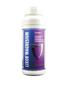 LIXOR MAGNESIUM KG.1 Miglior Prezzo