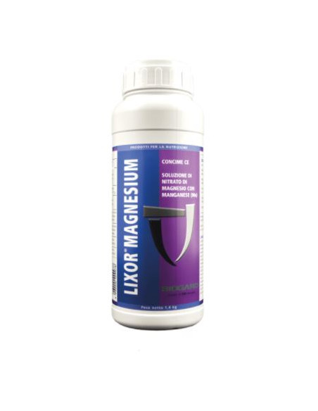 LIXOR MAGNESIUM KG.1 Miglior Prezzo