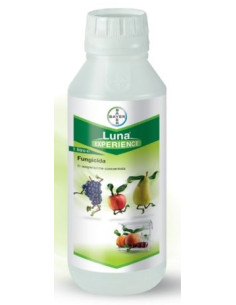 LUNA EXPERIENCE LT.1 Miglior Prezzo